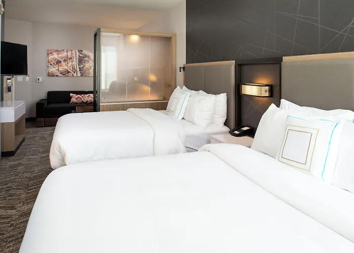 Springhill Suites By Marriott Kansas City Northeast